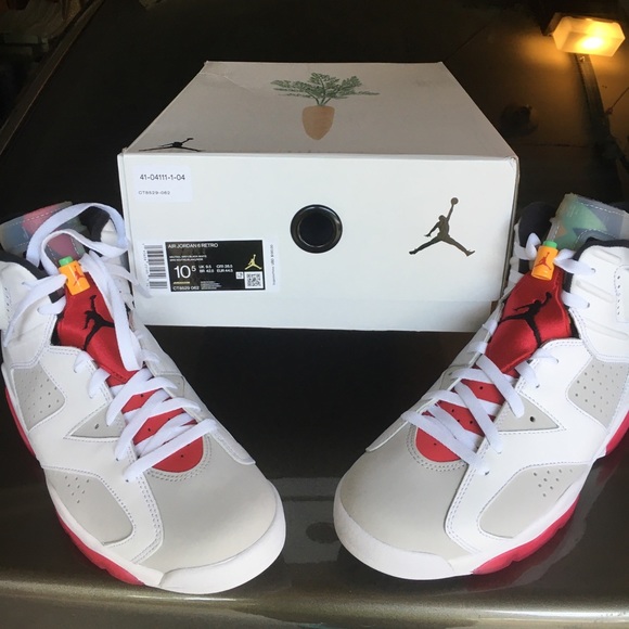 Jordan Other - Jordan 6 HARE